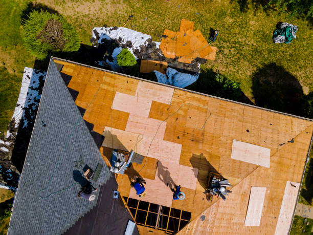 Best Commercial Roofing Services  in Green Forest, AR