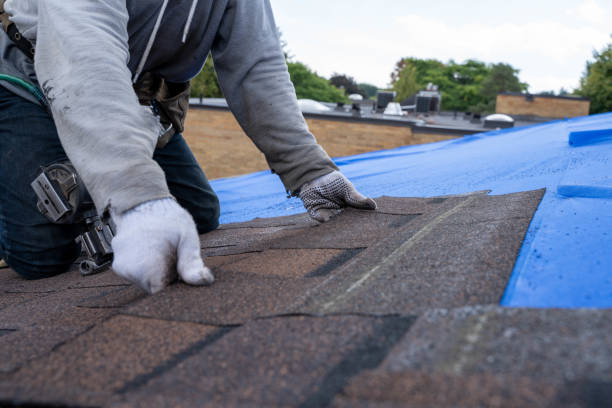 Best Storm Damage Roof Repair  in Green Forest, AR