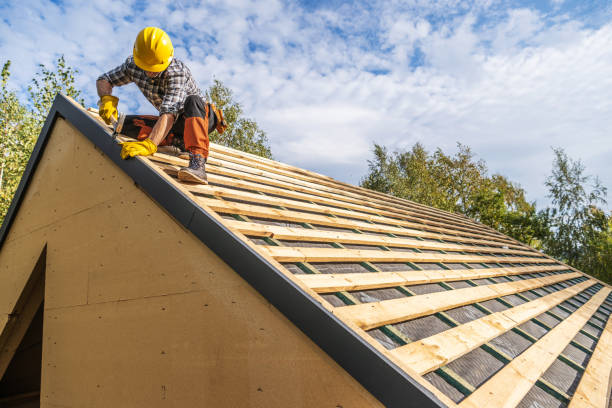 Best Roof Maintenance Services  in Green Forest, AR