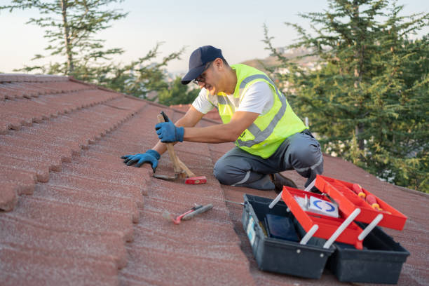 Best Metal Roofing Contractor  in Green Forest, AR