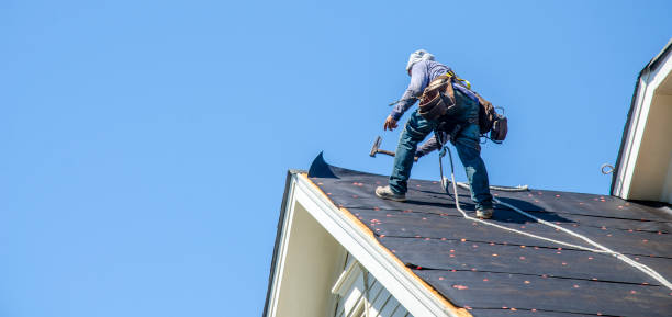 Best Local Roofing Companies  in Green Forest, AR